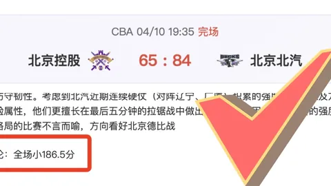 开云体育