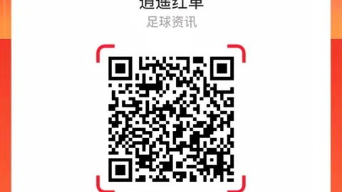 德乙联赛深度解析开云体育：数据提升关键要素深度指南
